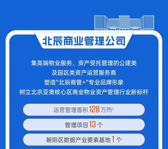 北辰SEO，作为专业优化领航者，哪家公司能比？