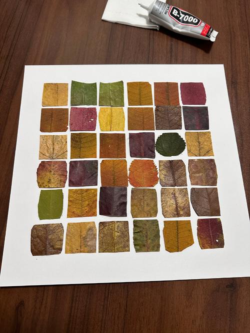 Laravel P47的CMP最后润色步骤有哪些？