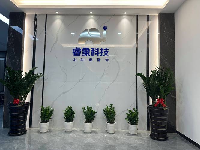 智优网络科技提供哪些专业服务？