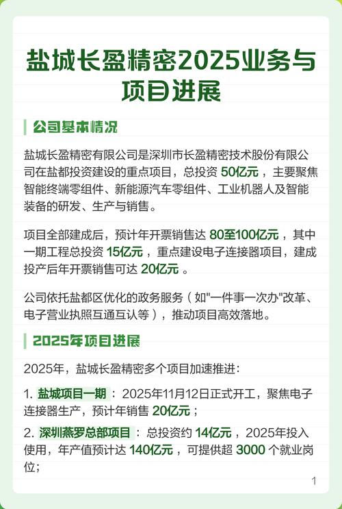 长盈项目与研发的根本差异是什么？