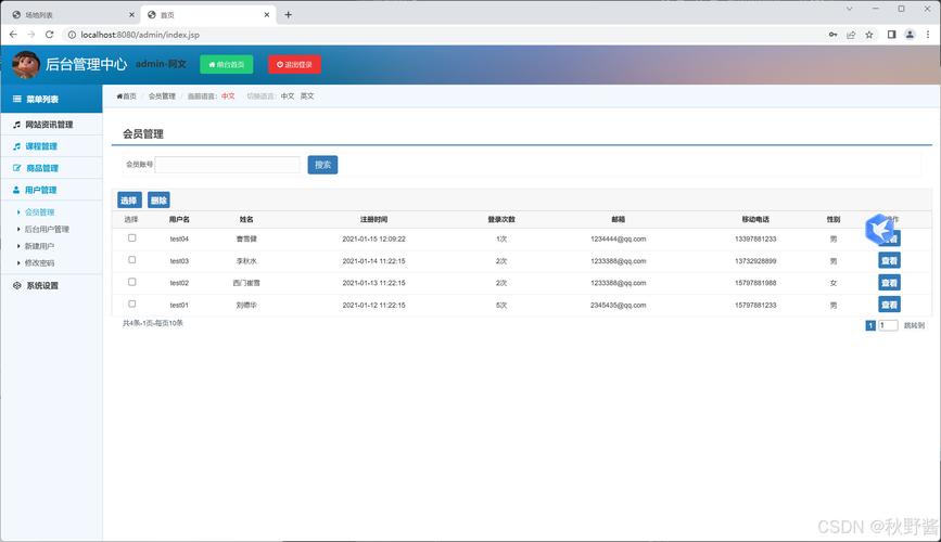 如何设计并实现基于Web技术的羽毛球网购系统源码LW文档？