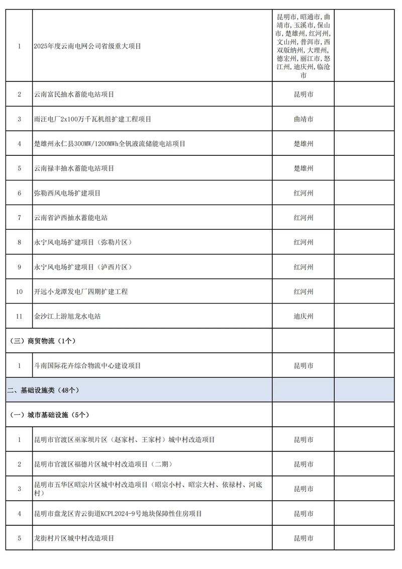 哪些项目因其重要性和影响力，可以被称为重大重点项目？