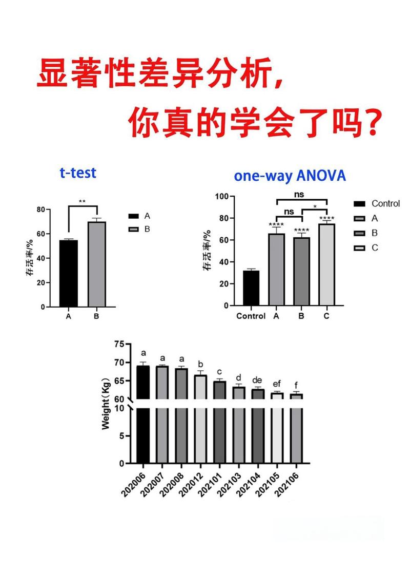 为什么在数据对比中会出现如此显著的差异原因呢？