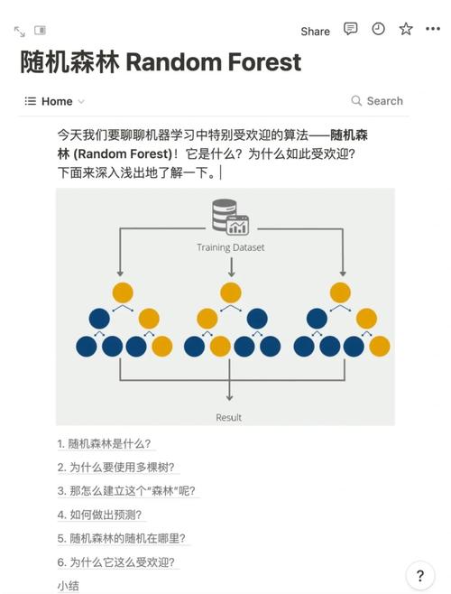 随机类中常见方法及其应用场景有哪些？