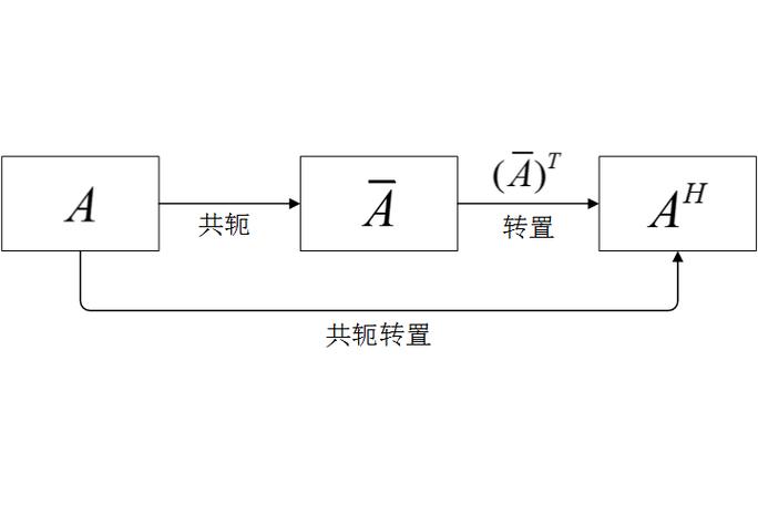 Matlab中如何区分共轭、转置和共轭转置操作？