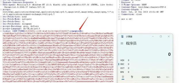 JAVA代码审计：如何防范JAVA反序列化漏洞？