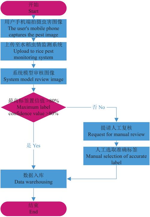 如何详细描述数据监控工作流程的每一步顺序？