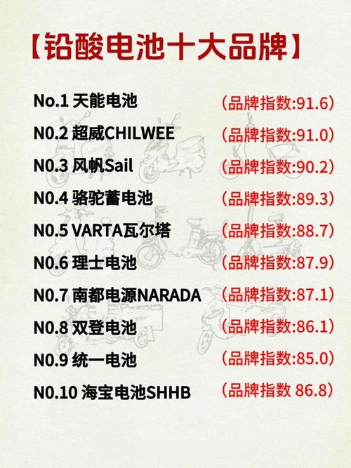 电动车锂电池品牌中，哪个品牌的质量和性能最为出色？