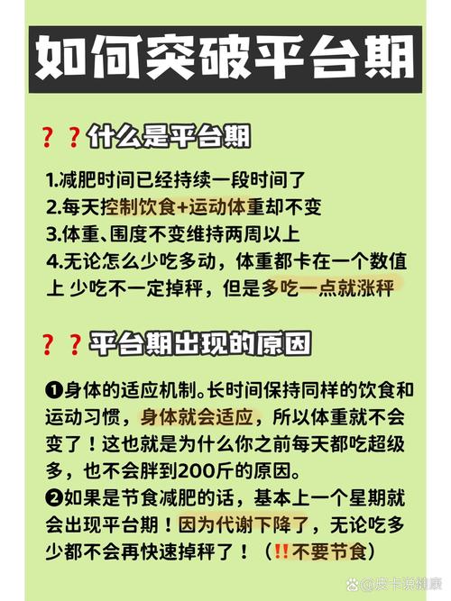 新晋码农的第一个月，有哪些挑战和成长？