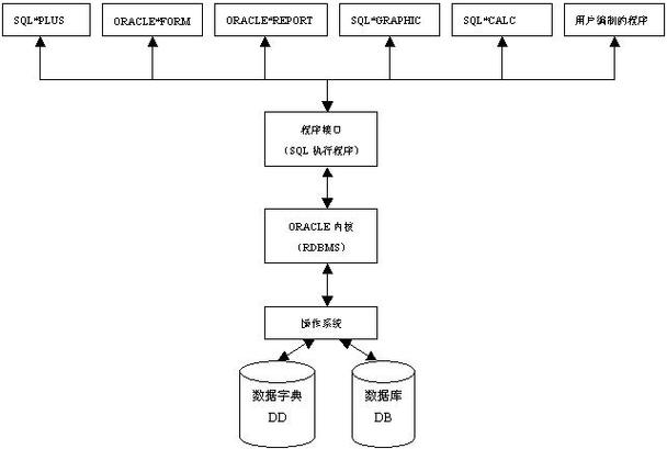Oracle数据库有哪些具体版本可以详细介绍一下吗？
