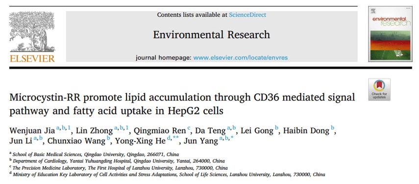 Laravel中.env文件究竟有什么神奇作用？