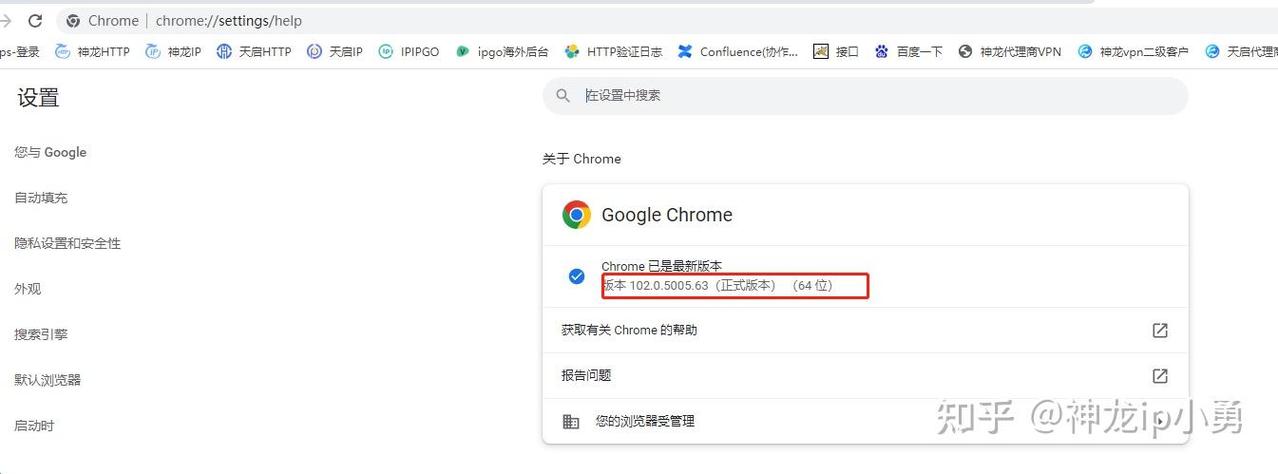 如何解决使用Python Selenium在Chrome浏览器中测试登录时出现的闪退问题？