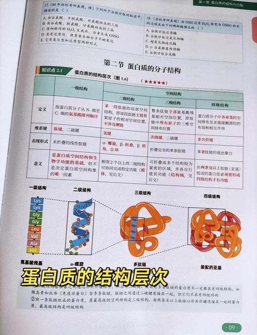 蛋白质一级结构数据库具体指的是什么？