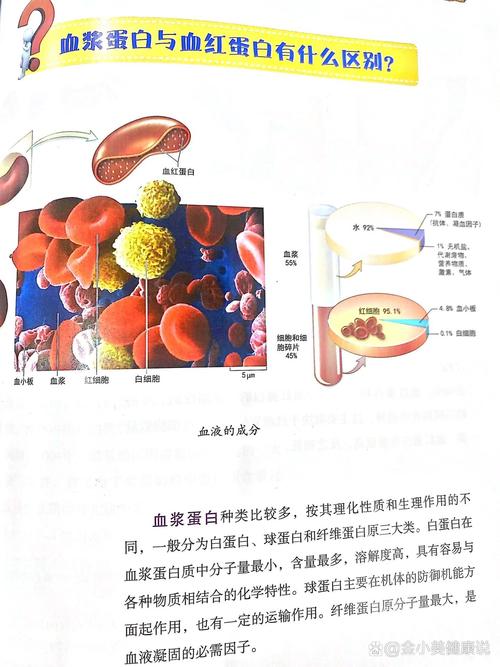 血浆和血清检测项目有哪些本质区别？
