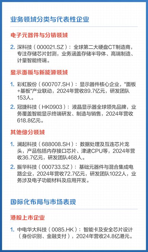 这家企业主要涉及哪个细分业务领域呢？