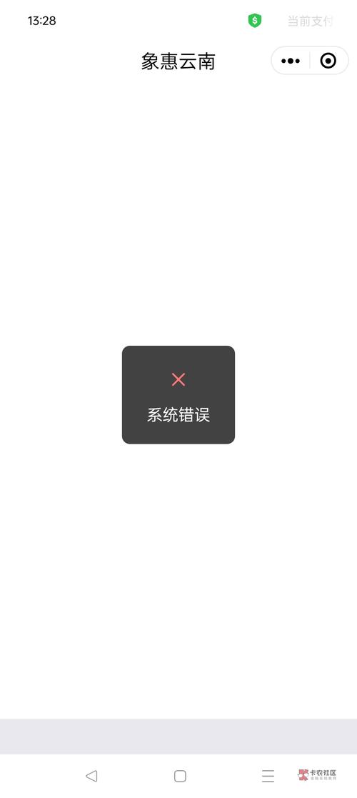 当使用.NET进行委托签名时，若出现不匹配，系统为何不显示错误提示？