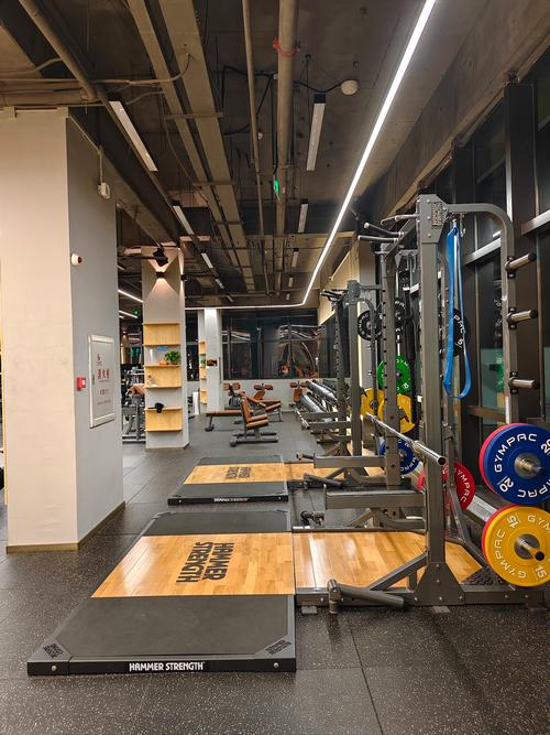 在长沙做西藏SEO，哪家公司效果最显著，首选是哪家？