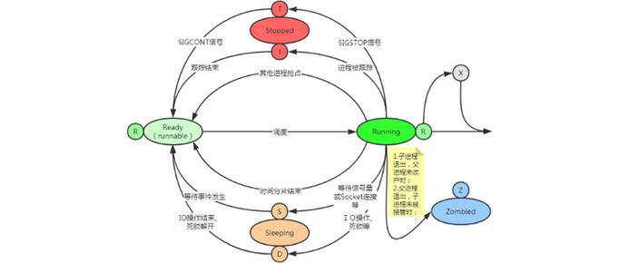 操作系统中的C语言进程调度实验是如何进行的？