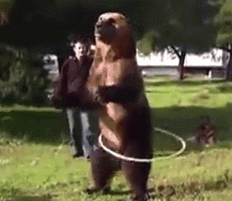 有哪些有趣的动态转换方式可以尝试？