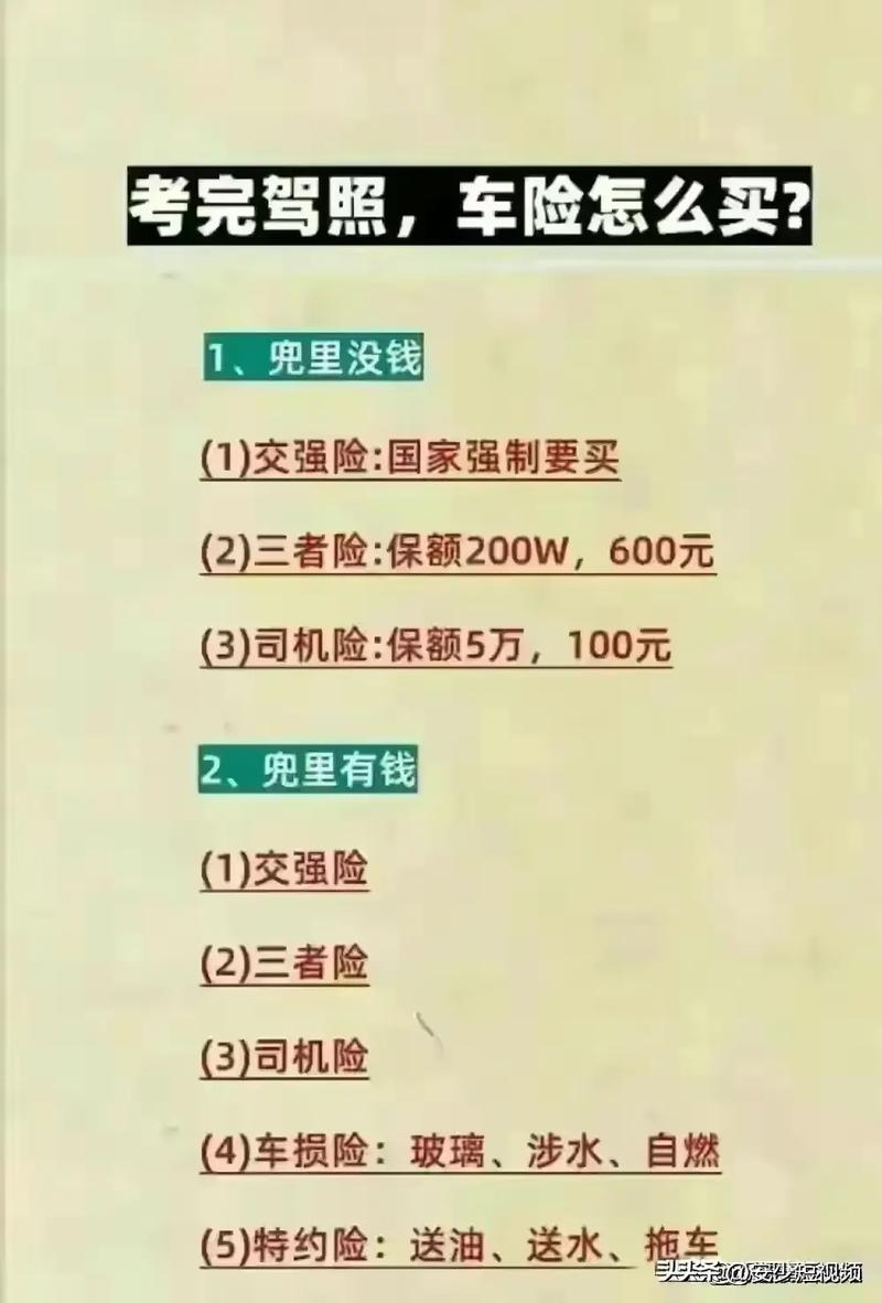 95和98项目在哪些细节上存在显著差异？