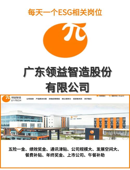 东莞网站建设领域，哪家公司是专业人才汇聚的领头羊？