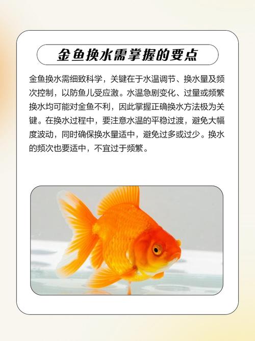 如何轻松钓到微信小程序推广金鱼的小技巧？