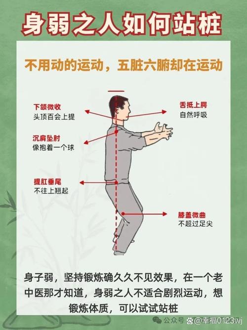金鸡独立站桩功真的能显著改善哪些健康问题？