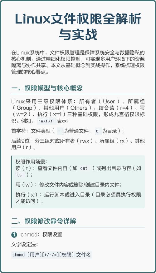 Linux实操中，如何高效进行组管理和权限管理？