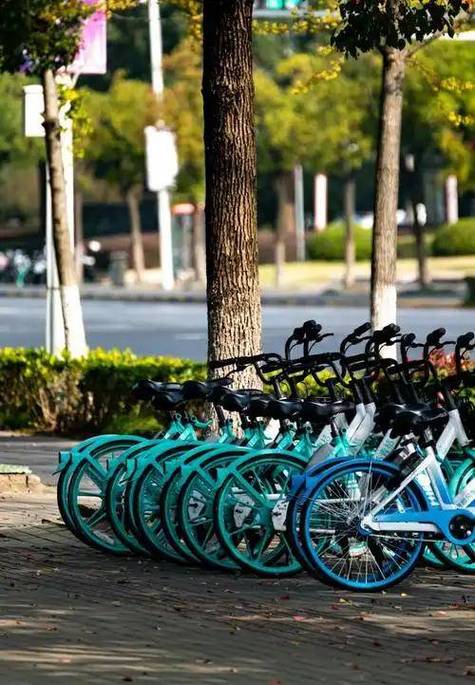 新加坡共享滑板车风潮兴起，共享单车时代是否已落幕？