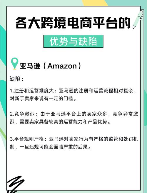 跨境电商自建站模式有哪些对比，其核心优势与未来挑战是什么？
