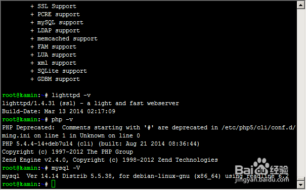 Debian LNMP服务器如何进行深度性能调优，实现网站速度大幅提升？