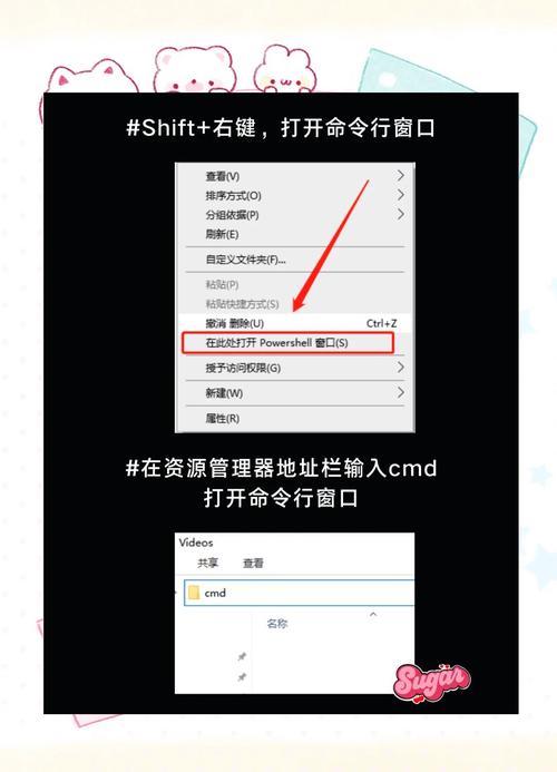 如何使用cmd进行基本操作？