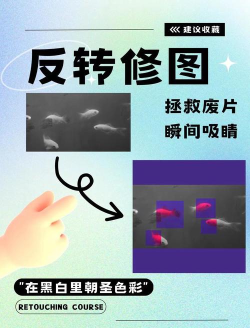 如何使用Exif.js对图片进行旋转修正以纠正拍摄偏差？