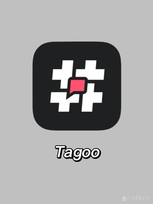 tagoo是做什么的，具体功能有哪些？