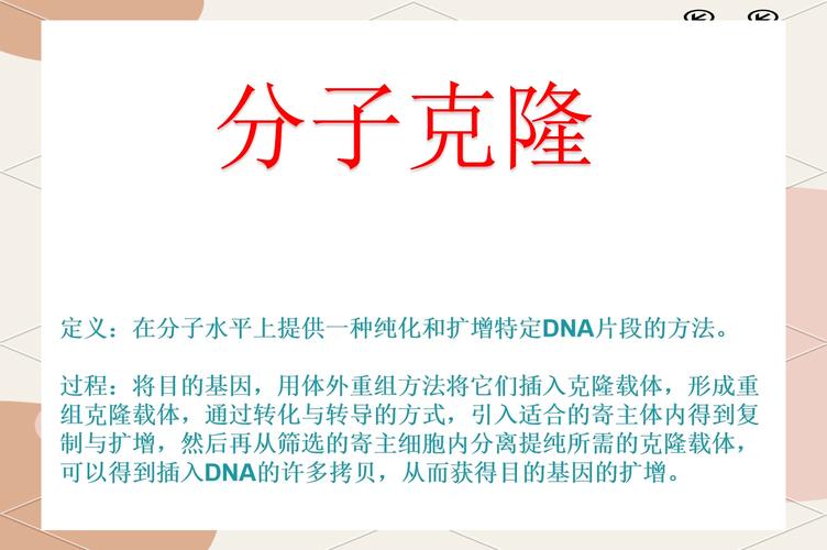如何实现一键克隆，高效复制成为复制专家？
