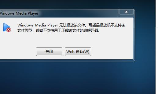 Windows Media Player无法播放哪些特定文件格式？