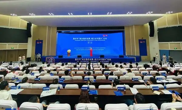 北碚论坛作为本地互动新阵地，有什么亮点和特色？