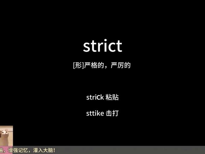 C语言中的严格别名是什么意思？