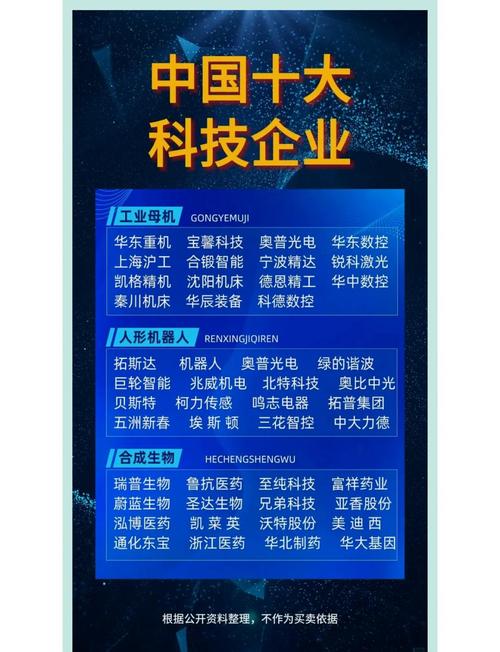 百度是私营企业之光还是科技巨头，其角色定位究竟有何不同？