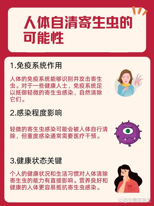 百度寄生虫广告幕后制作是怎样的？揭秘其全流程！