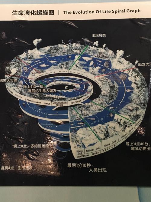 从外太空俯视，如何描述地球上的计算机硬件组成？