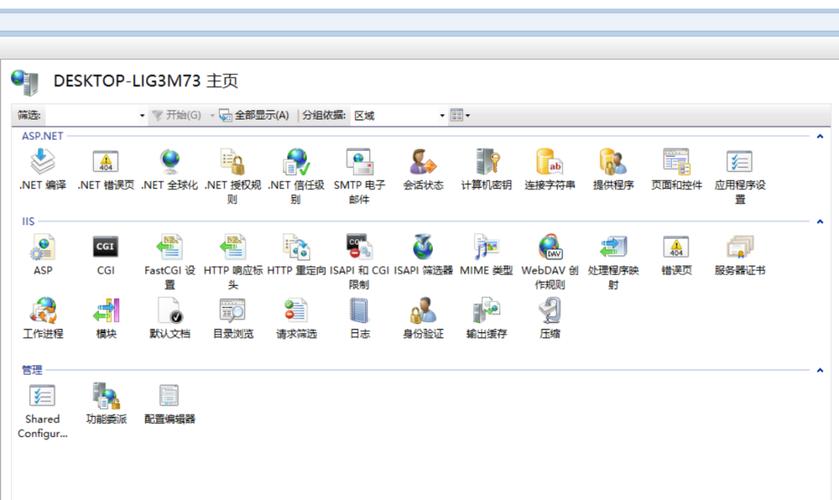 如何解决基于ABP架构的.NetCore项目部署到IIS时遇到的各种问题？