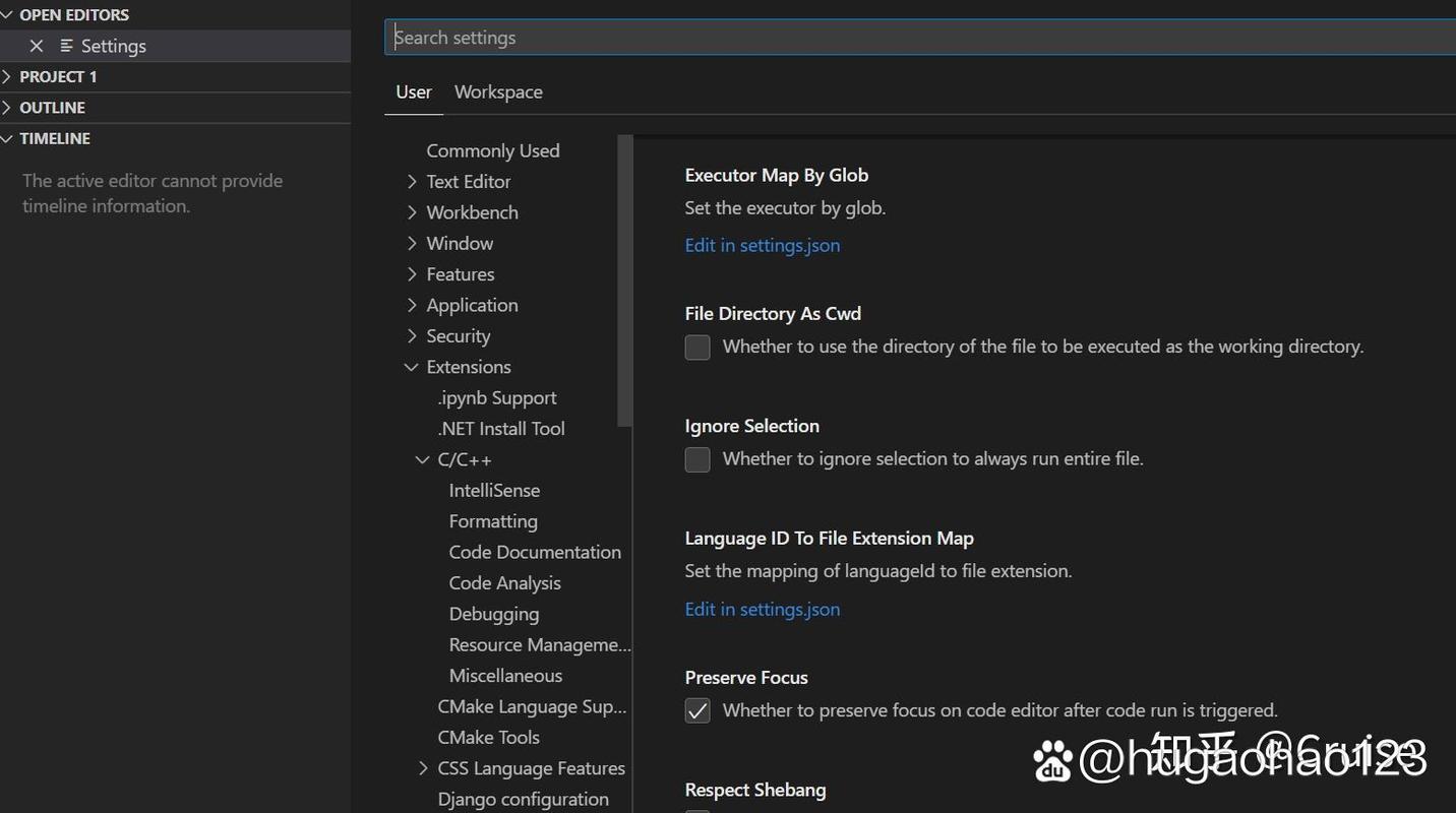 如何通过VSCode插件Run Code实时查看并追踪代码执行的控制台信息？