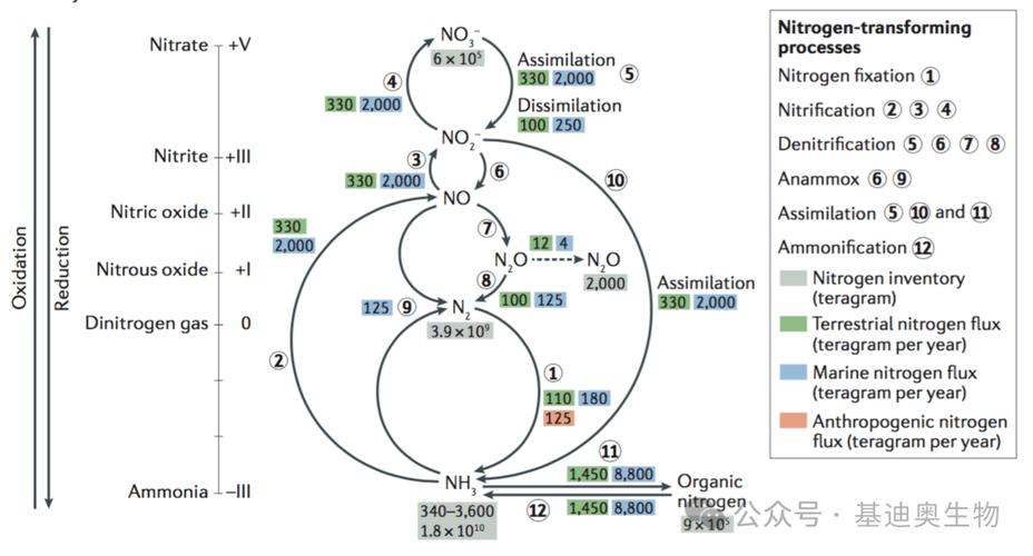AtCoder Beginner Contest 260 F - Find 4-cycle如何寻找四个元素构成循环？