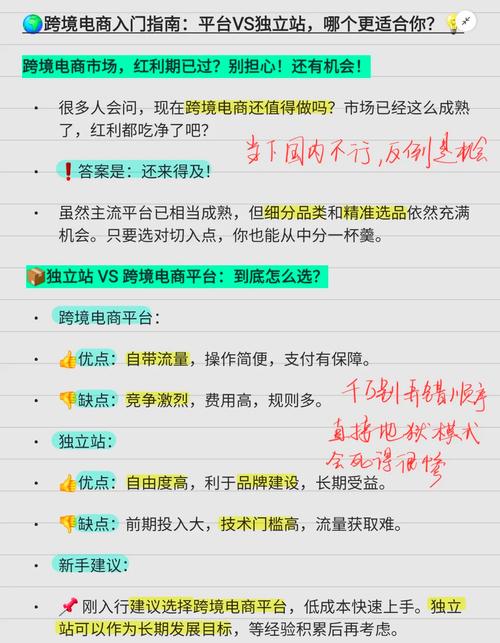 新手做跨境独立站是否比在平台开店更有优势？