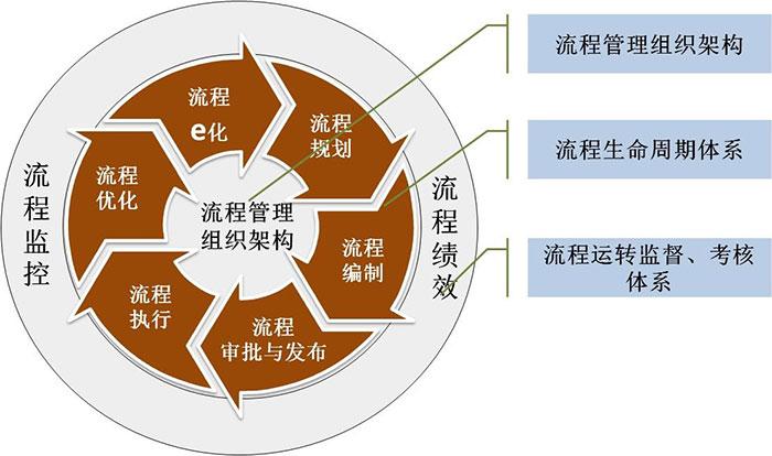 瑞安市建大学网站建设，3ao cc如何助您探索专业卓越之路？