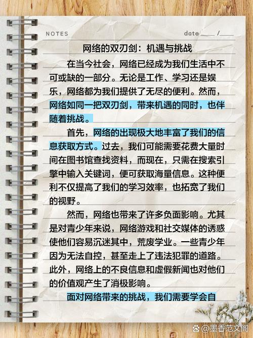 如何网络规划设计师论文，构建高效数字化网络的策略与实践及模板范文探索为长尾关键词？
