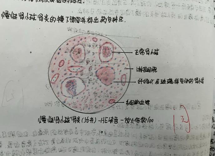 同一性和切片副本有何区别？