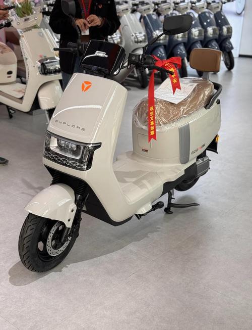 3000元左右买什么电动车续航能力强？