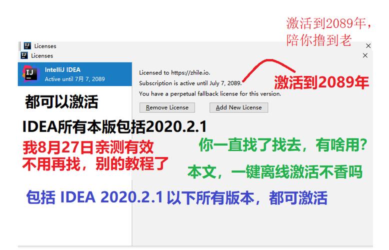 这个据说能撸到2089年的IDEA2020.2版本，真的可以一直用到2089年吗？